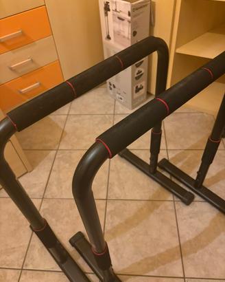 Parallele Domyos