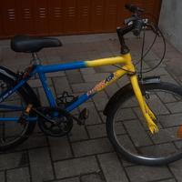 bicicletta 20 pollici