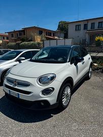 500x  1.3 mltijet