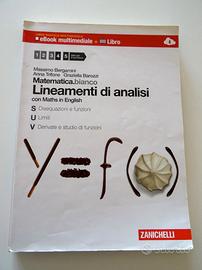 Lineamenti di Analisi con Maths in english LDM