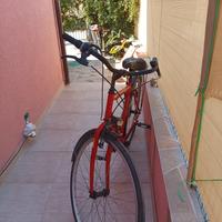 bicicletta da uomo  n 28