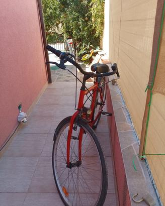 bicicletta da uomo  n 28