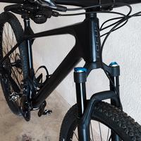 Mtb Focus Raven  29" carbonio 