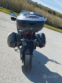 moto ducati 