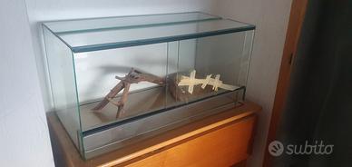 Terrario / Teca per rettili 