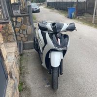 Sh 125