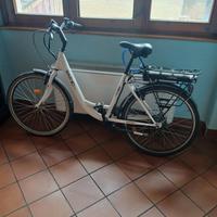 bici elettrica 