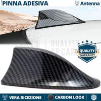 Antenna PINNA SQUALO per BMW in Fibra di CARBONIO