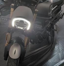Benelli Leoncino 800