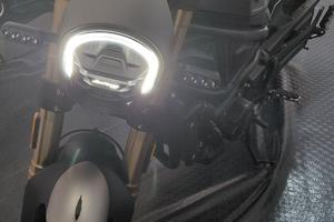 Benelli Leoncino 800