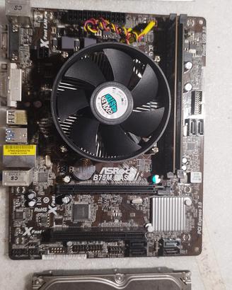 Scheda Madre ASRock B75M DASH