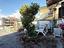 Immagine 28
