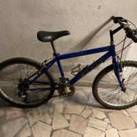 MTB CHERRI 24”