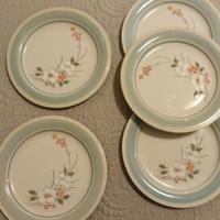 Piatti forno/microonde 