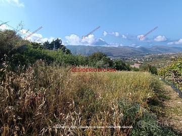 Terreno, Monreale.