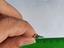 Immagine 5
