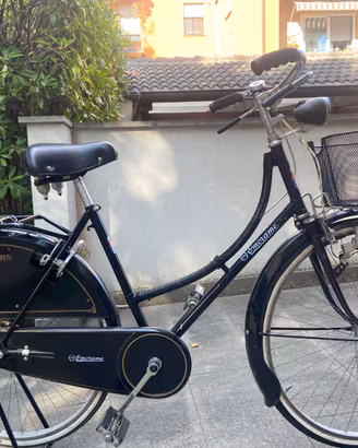 Bicicletta da donna Holland