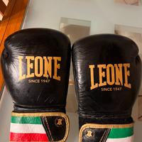 Guantoni Leone italia  14 oz