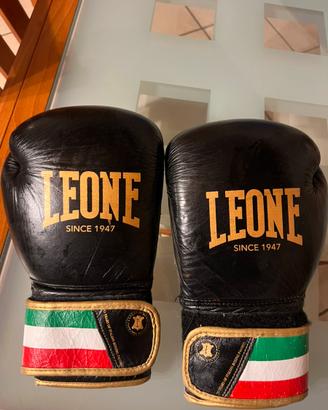 Guantoni Leone italia  14 oz