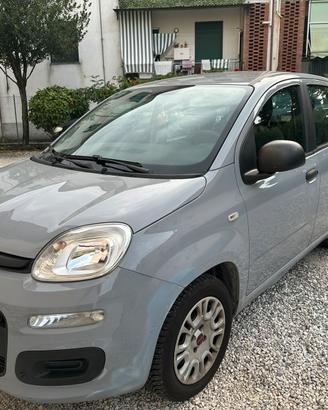 Fiat panda  1.2 benzina 2019 mai incidenta