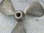 Immagine 1