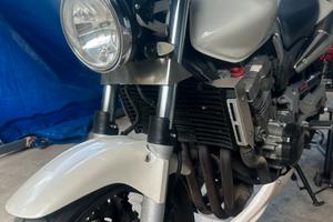 honda hornet 900