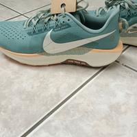 Nike Pegasus Trail 5 