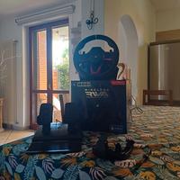 Volante Hori Wireless RWA Apex per PS4/PC