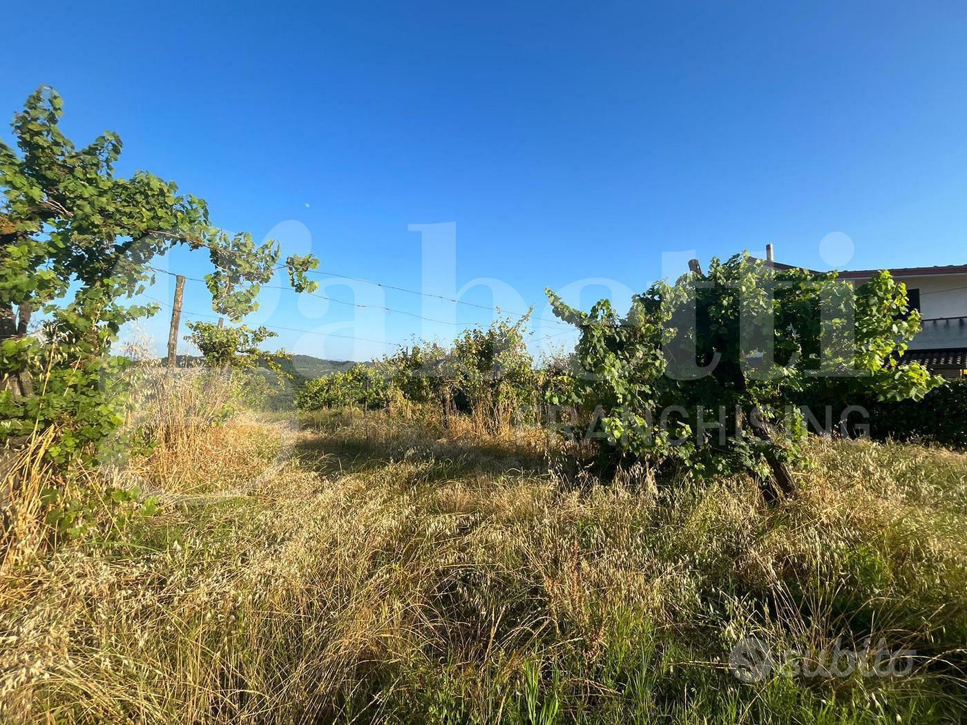 Terreno Agricolo Alife [Cod. rif 3159733VCG] - Vista 2