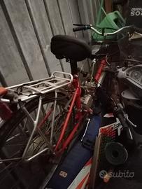 Bici con Motore