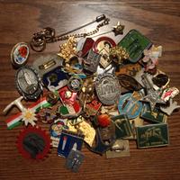 lotto spille da collezione 