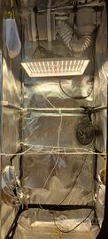 Grow box indoor armadio coltivazione per interni