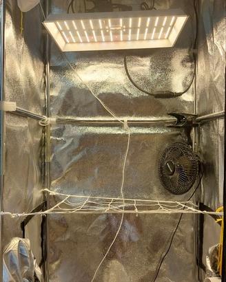 Grow box indoor armadio coltivazione per interni