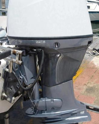 Motore Selva Dorado 40cv