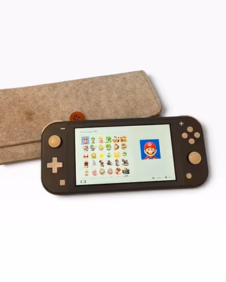 Nintendo Switch Lite grigia + custodia, perfetta