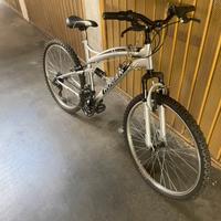 Bici hogan