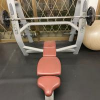 Panca piana technogym