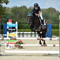 Pony da salto per passaggio al cavallo