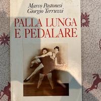 Libro di Pestonesi  e Terruzzi