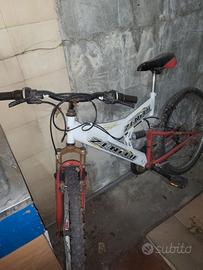 Mountain bike