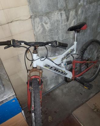 Mountain bike