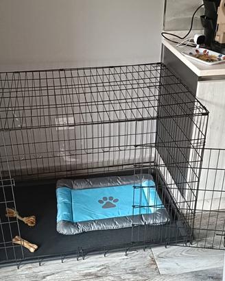 kennel cane xl