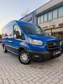 Ford Transit 290 2.0TDCi EcoBlue PM-TM Furgone Tre