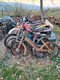 moto varie