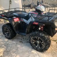 POLARIS sportsman 800 EFI