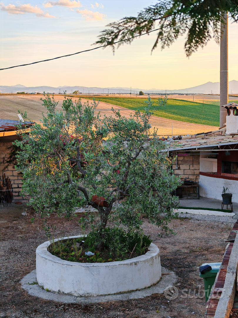 Azienda agricola - Vista 4