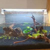 acquario 40 litri con filtro e luce led