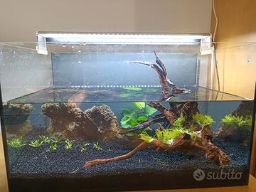 acquario 40 litri con filtro e luce led