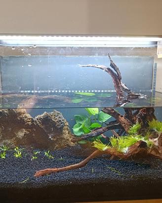 acquario 40 litri con filtro e luce led