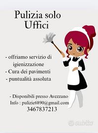 Addetta pulizie degli uffici